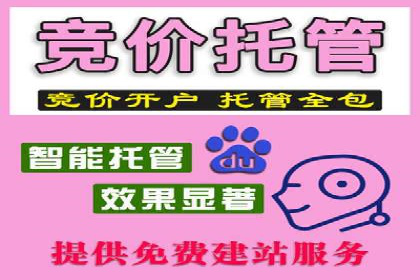 竞价广告的投放技巧与误区：从失败到成功的转变案例